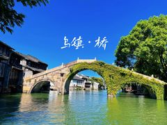 -乌镇景区