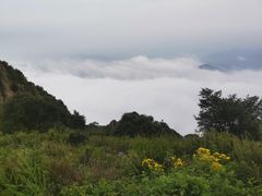 -白草畔自然风景区