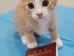 -美迦爱-牙专科·兔科·骨科诊疗中心(北苑店)