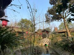 -青城甲(青城山店)