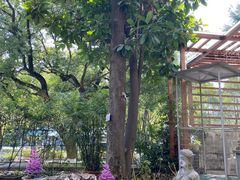 -谷咖啡·鲜花绿植花园餐厅