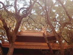 -普陀山风景名胜区-法雨禅寺