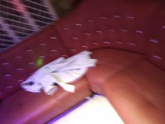 -博金年代 KTV(湖北大学店)
