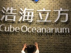 -成都浩海立方海洋公园