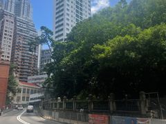 -香港大学