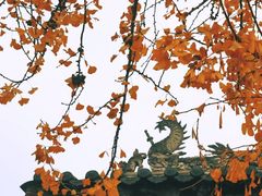 -古大圣慈寺