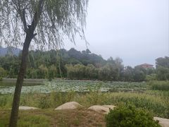 -天平湖公园