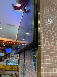 -卡通尼·Safari非洲探索乐园·生日会(金桥国际商业广场店)