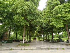 -成都中医药大学(温江校区)