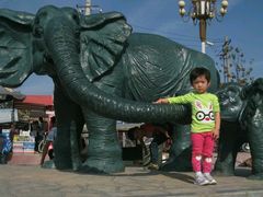 android_upload_pic-西安秦岭野生动物园