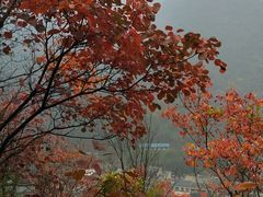 -秦岭风景区