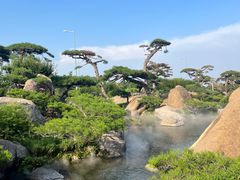 -罗红摄影艺术馆