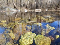 -玉渡山自然风景区