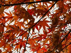 -普陀山风景名胜区-法雨禅寺