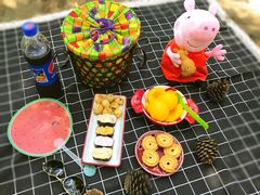 -铁山坪森林公园