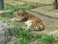 -济南野生动物世界