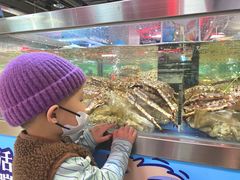 -盒马X会员店(王府井奥莱UP TOWN店)