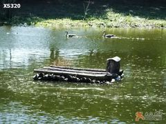 -北京麋鹿生态实验中心