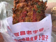-半月镰胡姐脆皮萝卜饺子