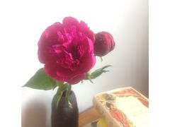 -Butchart布查德鲜花(花艺设计中心)