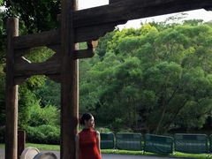 -深圳国际园林花卉博览园