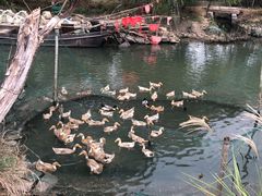 -缥缈峰景区
