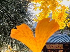 -龙华寺