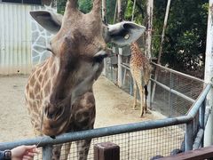 -泉州海丝野生动物世界