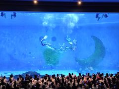 -汉堡王(海昌海洋公园店)