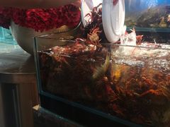 -苏格里岛自助烤肉海鲜火锅(成都金牛万达店)