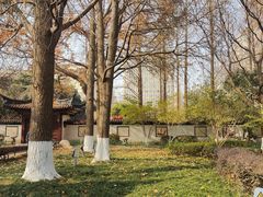 -郑和公园