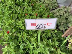 -秦美花卉(天朗·莱茵小城2期店)
