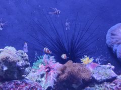 -成都浩海立方海洋公园