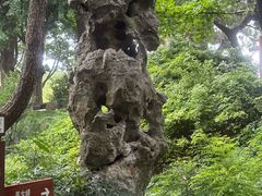 -上海方塔园