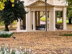 -墨尔本皇家植物园