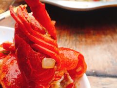 -不炭白烧烤(成都首店)