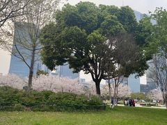 -金鸡湖景区