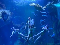 -多彩贵州城极地海洋世界