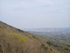 -紫金山山顶公园