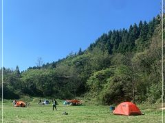-武陵山森林公园