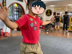 -温鉴良实用咏春拳