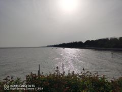 -贡湖湾湿地公园