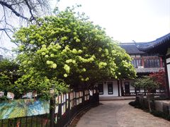 -常熟方塔园