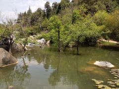 -黑龙潭公园