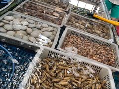 -渔民船说·北塘海鲜·天津菜·海肠捞饭(北塘古镇店)