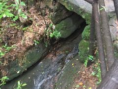 -武夷山风景名胜区-虎啸岩