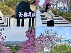 -盈香心动乐园