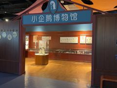 -海合安武汉极地海洋公园