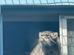 -青藏高原野生动物园