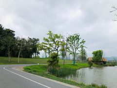-良渚古城遗址公园